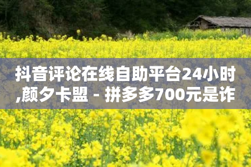 抖音评论在线自助平台24小时,颜夕卡盟 - 拼多多700元是诈骗吗 - 闲鱼无货源一键铺货软件-第1张图片-靖非智能科技传媒