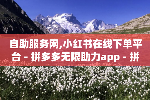 自助服务网,小红书在线下单平台 - 拼多多无限助力app - 拼多多助力真的能提现吗