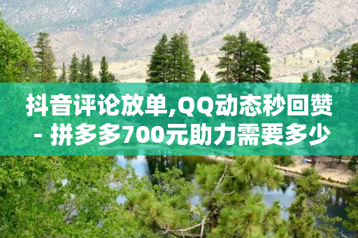 抖音评论放单,QQ动态秒回赞 - 拼多多700元助力需要多少人 - 有什么平台可以挂拼多多助力