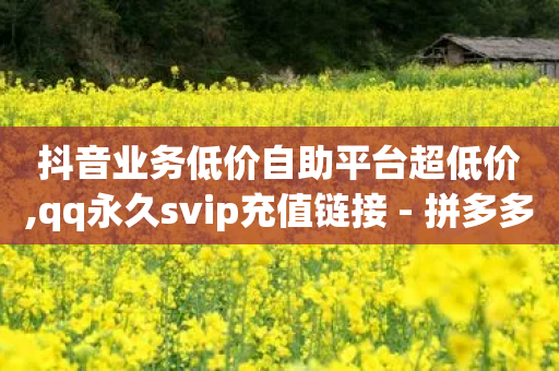 抖音业务低价自助平台超低价,qq永久svip充值链接 - 拼多多砍一刀 - pdd砍手机是真的吗-第1张图片-靖非智能科技传媒