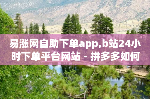 易涨网自助下单app,b站24小时下单平台网站 - 拼多多如何卖助力 - 卡盟24小时平台入口