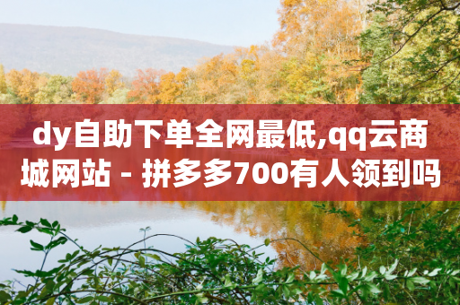 dy自助下单全网最低,qq云商城网站 - 拼多多700有人领到吗 - 拼多多领五件能带走4件吗