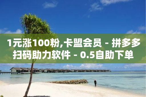 1元涨100粉,卡盟会员 - 拼多多扫码助力软件 - 0.5自助下单