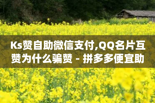 Ks赞自助微信支付,QQ名片互赞为什么骗赞 - 拼多多便宜助力链接 - 吞刀pdd-第1张图片-靖非智能科技传媒