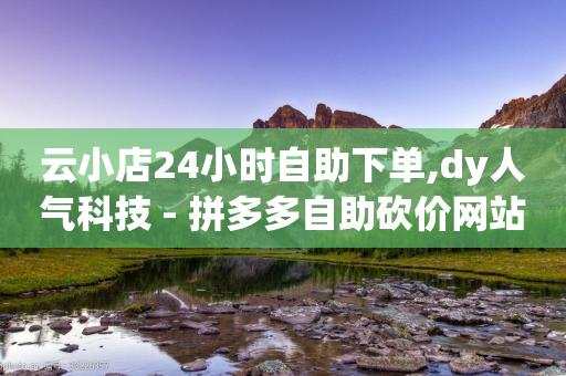 云小店24小时自助下单,dy人气科技 - 拼多多自助砍价网站 - 十元刀-第1张图片-靖非智能科技传媒