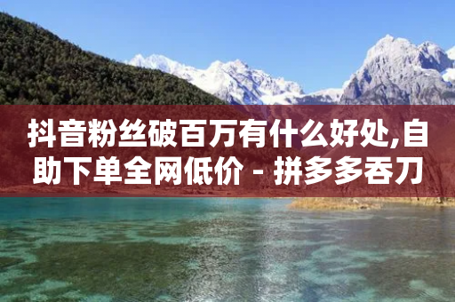 抖音粉丝破百万有什么好处,自助下单全网低价 - 拼多多吞刀机制 - 拼多多商家版网页官网入口