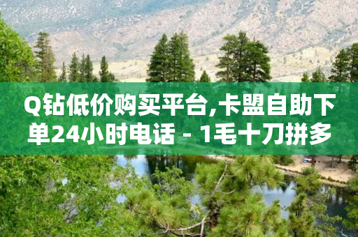 Q钻低价购买平台,卡盟自助下单24小时电话 - 1毛十刀拼多多助力网站 - 现金大转盘帮别人助力会受骗吗-第1张图片-靖非智能科技传媒