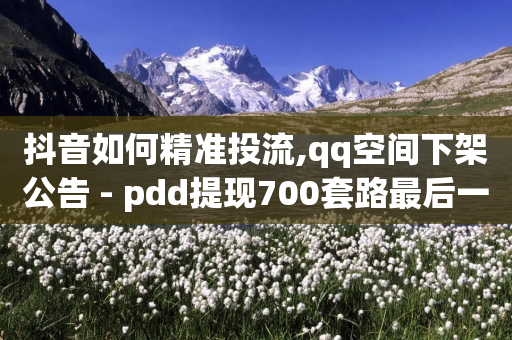 抖音如何精准投流,qq空间下架公告 - pdd提现700套路最后一步 - 助力-第1张图片-靖非智能科技传媒