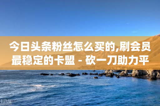 今日头条粉丝怎么买的,刷会员最稳定的卡盟 - 砍一刀助力平台app - 帮助朋友拼多多助力后怎么办