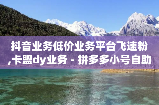 抖音业务低价业务平台飞速粉,卡盟dy业务 - 拼多多小号自助购买平台 - 拼多多助力连接