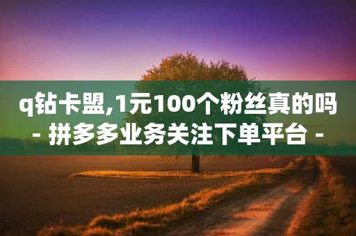 q钻卡盟,1元100个粉丝真的吗 - 拼多多业务关注下单平台 - 抖音点赞24小时在线超低价-第1张图片-靖非智能科技传媒