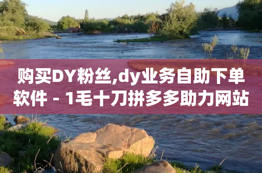 购买DY粉丝,dy业务自助下单软件 - 1毛十刀拼多多助力网站 - 尚位智购自动下单