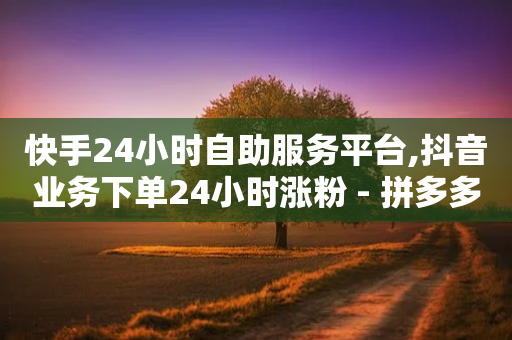 快手24小时自助服务平台,抖音业务下单24小时涨粉 - 拼多多黑科技引流推广神器 - 彩虹自助下单24-第1张图片-靖非智能科技传媒