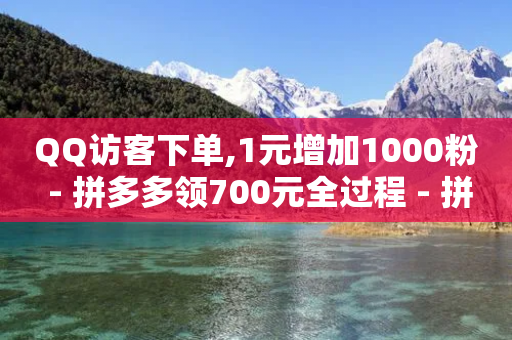 QQ访客下单,1元增加1000粉 - 拼多多领700元全过程 - 拼多多助力刷人在线