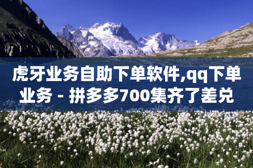 虎牙业务自助下单软件,qq下单业务 - 拼多多700集齐了差兑换卡 - 拼多多微信互砍群