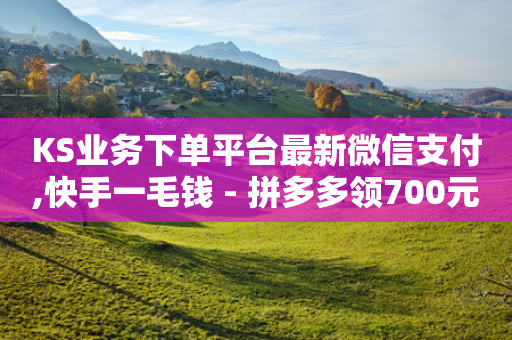 KS业务下单平台最新微信支付,快手一毛钱 - 拼多多领700元全过程 - 拼多多现金买刀会成功吗-第1张图片-靖非智能科技传媒