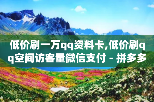 低价刷一万qq资料卡,低价刷qq空间访客量微信支付 - 拼多多自助砍价网站 - 拼多多平台会找人去买东西吗