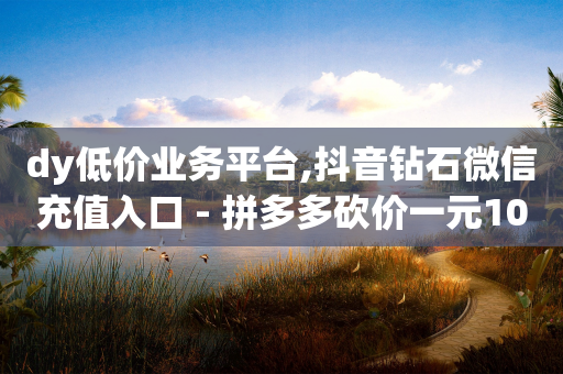 dy低价业务平台,抖音钻石微信充值入口 - 拼多多砍价一元10刀 - 拼多多助力神器app