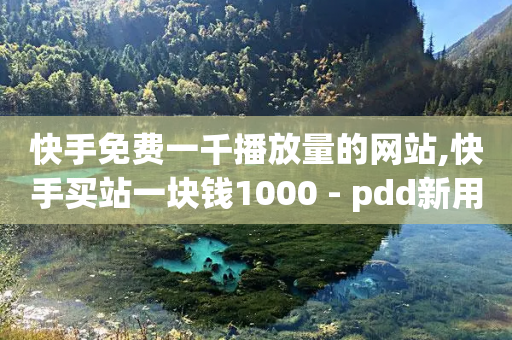 快手免费一千播放量的网站,快手买站一块钱1000 - pdd新用户助力网站 - 拼多多砍价自助