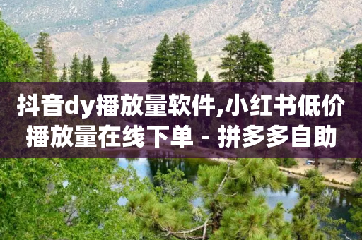 抖音dy播放量软件,小红书低价播放量在线下单 - 拼多多自助砍价网站 - 拼多多多久算回归用户