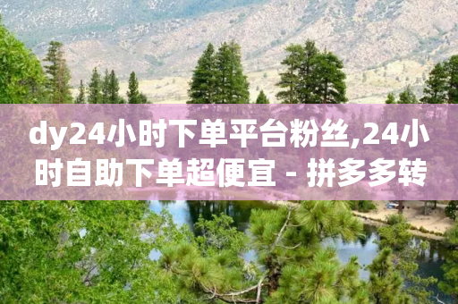 dy24小时下单平台粉丝,24小时自助下单超便宜 - 拼多多转盘最后0.01解决办法 - 抖音账号白号出售2元钱一个-第1张图片-靖非智能科技传媒