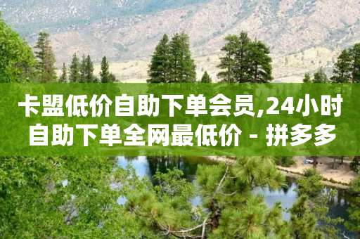 卡盟低价自助下单会员,24小时自助下单全网最低价 - 拼多多自助下单24小时平台 - 九襄豆腐是用什么岩粉点的