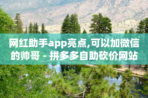 网红助手app亮点,可以加微信的帅哥 - 拼多多自助砍价网站 - pdd提现有的人5个就成功了