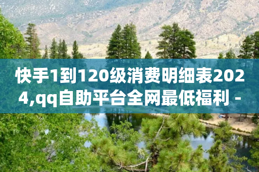 快手1到120级消费明细表2024,qq自助平台全网最低福利 - 拼多多现金大转盘咋才能成功 - 拼多多极速起量什么意思