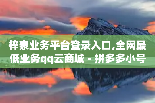 梓豪业务平台登录入口,全网最低业务qq云商城 - 拼多多小号自助购买平台 - 助多多