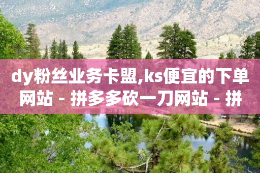 dy粉丝业务卡盟,ks便宜的下单网站 - 拼多多砍一刀网站 - 拼多多助力提现现金最后一步