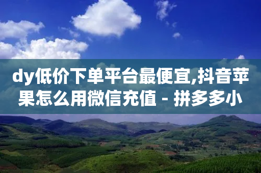 dy低价下单平台最便宜,抖音苹果怎么用微信充值 - 拼多多小号自助购买平台 - 拼多多元宝以后能提现吗