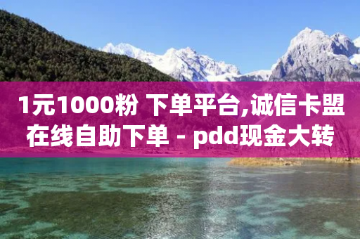 1元1000粉 下单平台,诚信卡盟在线自助下单 - pdd现金大转盘助力网站 - 拼多多砍一刀流程详解-第1张图片-靖非智能科技传媒