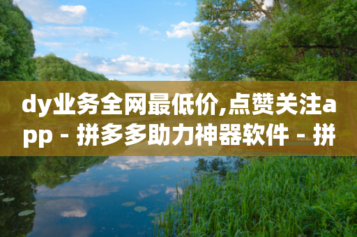 dy业务全网最低价,点赞关注app - 拼多多助力神器软件 - 拼多多网页版登录页面