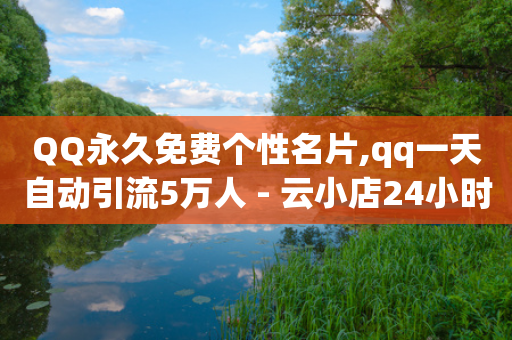 QQ永久免费个性名片,qq一天自动引流5万人 - 云小店24小时自助下单 - 现金大转盘一直锦鲤附体