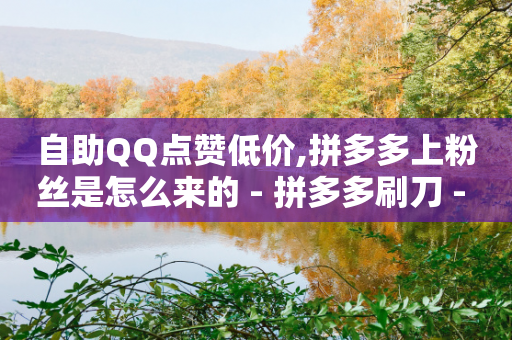 自助QQ点赞低价,拼多多上粉丝是怎么来的 - 拼多多刷刀 - 拼多多淘宝买号助力能提现吗