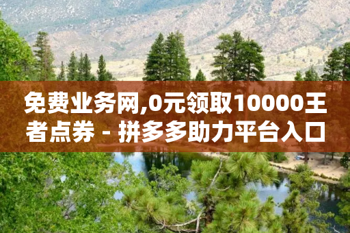 免费业务网,0元领取10000王者点券 - 拼多多助力平台入口 - 拼多多积分碎片