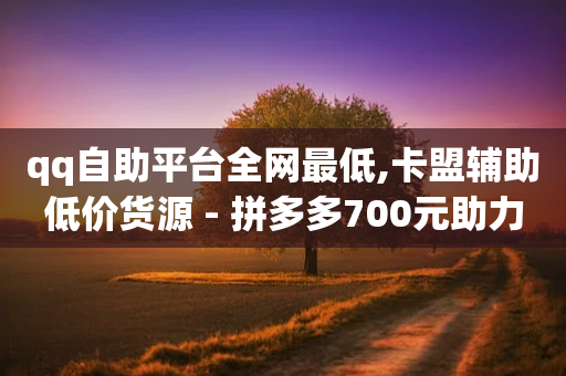 qq自助平台全网最低,卡盟辅助低价货源 - 拼多多700元助力到元宝了 - 拼多多代砍网站蘑菇科技