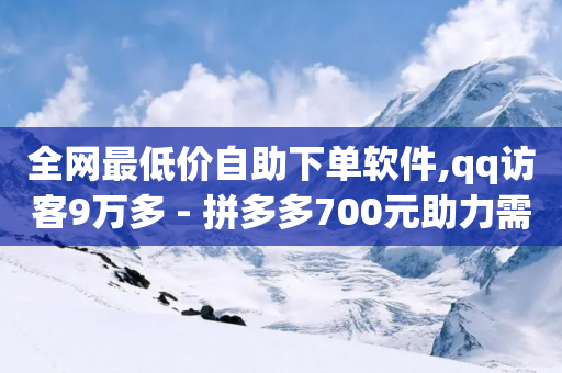 全网最低价自助下单软件,qq访客9万多 - 拼多多700元助力需要多少人 - 拼多多真人助力平台