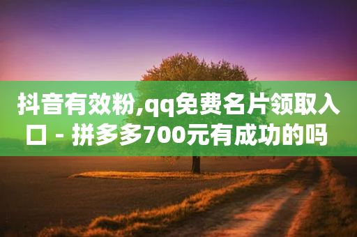 抖音有效粉,qq免费名片领取入口 - 拼多多700元有成功的吗 - 拼多多助力脚本有用吗-第1张图片-靖非智能科技传媒