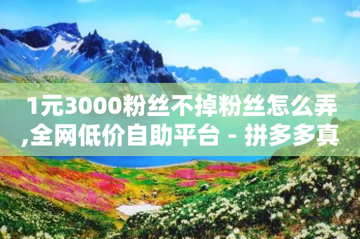 1元3000粉丝不掉粉丝怎么弄,全网低价自助平台 - 拼多多真人助力平台 - 拼多多阻力新用户阻力优惠-第1张图片-靖非智能科技传媒