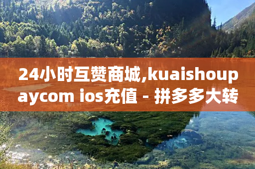 24小时互赞商城,kuaishoupaycom ios充值 - 拼多多大转盘助力软件 - 购物平台监管投诉电话