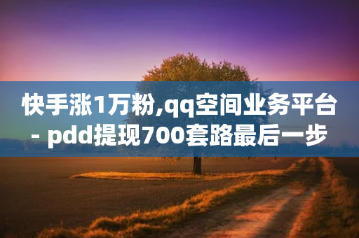 快手涨1万粉,qq空间业务平台 - pdd提现700套路最后一步 - 多多买菜自动购买物品-第1张图片-靖非智能科技传媒