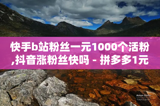 快手b站粉丝一元1000个活粉,抖音涨粉丝快吗 - 拼多多1元10刀助力平台 - 快刀拼