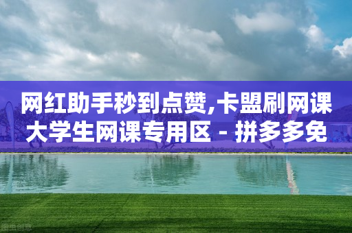 网红助手秒到点赞,卡盟刷网课大学生网课专用区 - 拼多多免费自动刷刀软件 - 拼多多买的折叠刀怎么用-第1张图片-靖非智能科技传媒