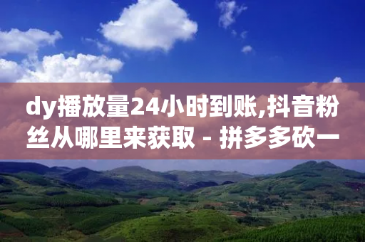 dy播放量24小时到账,抖音粉丝从哪里来获取 - 拼多多砍一刀助力平台 - 拼多多选品中心联系方式-第1张图片-靖非智能科技传媒