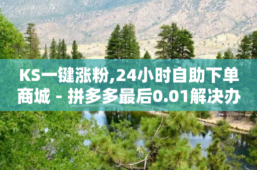 KS一键涨粉,24小时自助下单商城 - 拼多多最后0.01解决办法 - 自助平台