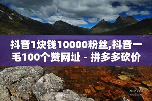 抖音1块钱10000粉丝,抖音一毛100个赞网址 - 拼多多砍价助力网站 - 拼多多代砍网-第1张图片-靖非智能科技传媒