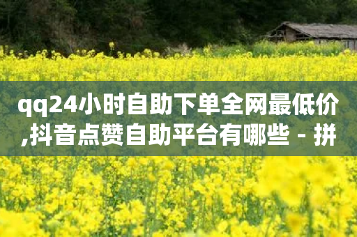 qq24小时自助下单全网最低价,抖音点赞自助平台有哪些 - 拼多多砍价一毛十刀网站靠谱吗 - 拼多多怎么挣佣金步骤-第1张图片-靖非智能科技传媒