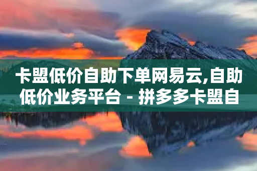 卡盟低价自助下单网易云,自助低价业务平台 - 拼多多卡盟自助下单服务 - 拼多多助力兑换卡碎片-第1张图片-靖非智能科技传媒