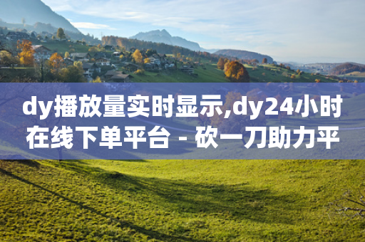 dy播放量实时显示,dy24小时在线下单平台 - 砍一刀助力平台 - 微信互助群500人